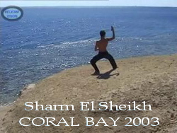 Video 640x480